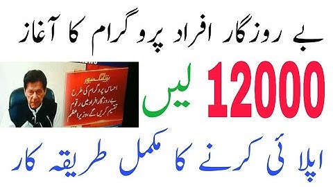 Ehsaas Labour Online Registration//pmo gov pk//Berojgar Program