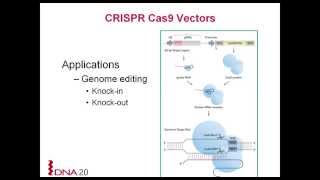 CRISPR/Cas9 Genome Engineering