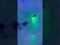 Visit to Ice Castle in MN
