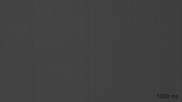 Long exposure read noise