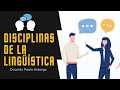 Quiz sobre las disciplinas de la lingüística