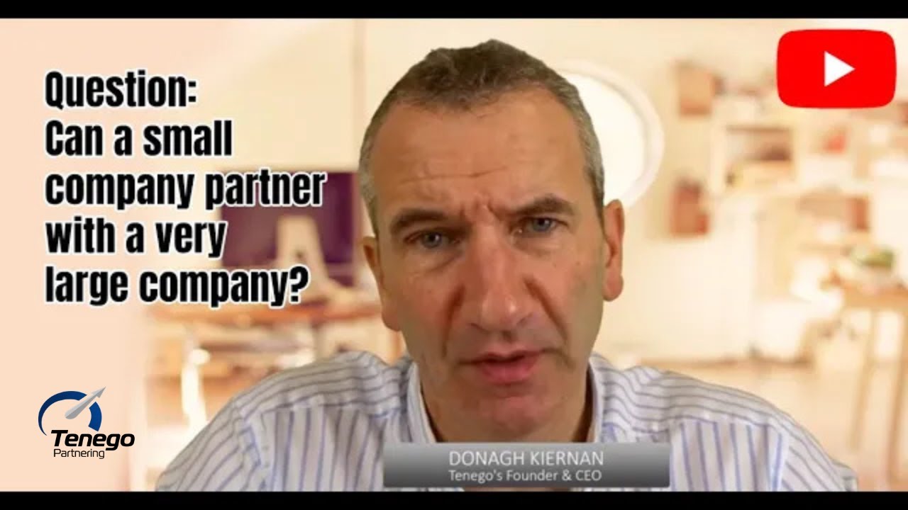 Q: Can a small company partner with a very large company?