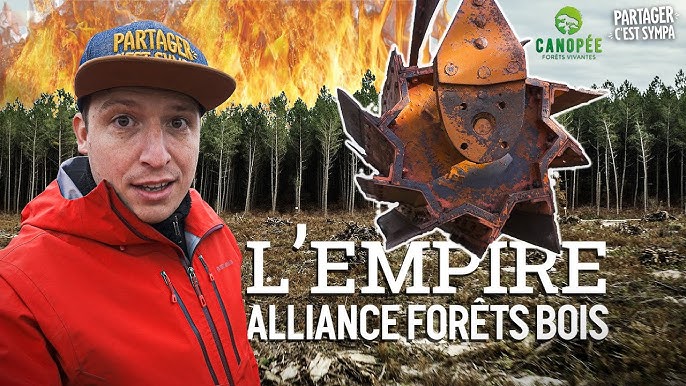 ALLIANCE Forêts Bois