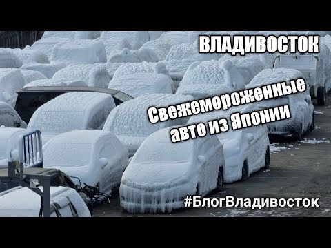 Свежемороженные авто из Японии привезли во Владивосток. Обледенелые машины в порту. #блогвладивосток