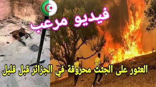 عاجل وفاة 16 مواطن بالحرائق الآن مباشر بجاية بويرة بومرداس تيبازة تيزي وزو.. فيديو..