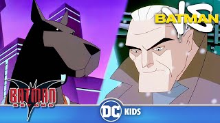 Bruce Wayne Meets Ace the Bat-Hound! | Batman Beyond | @dckids