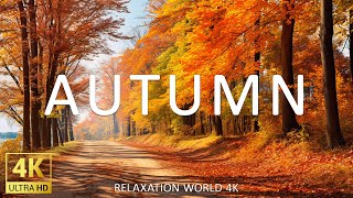 AUTUMN 4K - Relaxing Music Along With Beautiful Nature Videos - 4K Video Ultra HD