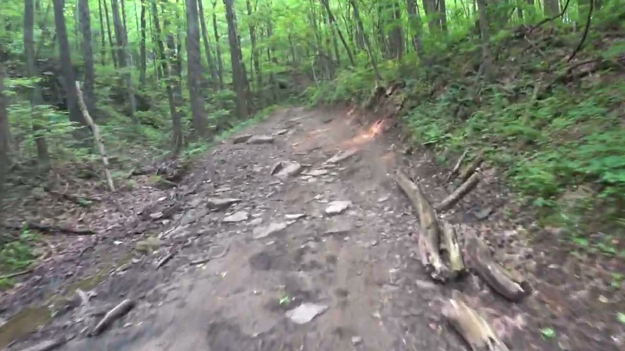 TT-R230 at Windrock Park Trail T4....1080HD