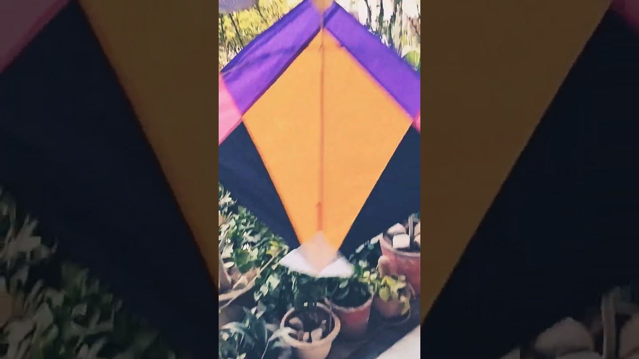 Happy makar sankranti 😊