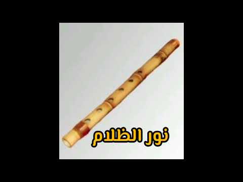 صوت كاولة لايف نور الظلام حاليا علي أورجات كورج