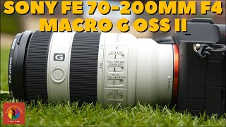 SONY FE 70-200mm F4 Macro G OSS Mark II Lens Review: This is a Close-Up Monster!