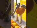 Smart tool to peel citrus fruit quickly #shorts