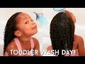 Toddler Curly Hair Wash Day Routine | Kid Friendly Tutorial for Easy Detangling + Moisturized Curls!