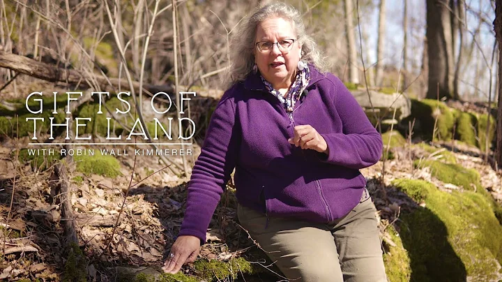 GIFTS OF THE LAND | A Guided Nature Tour with Robi...