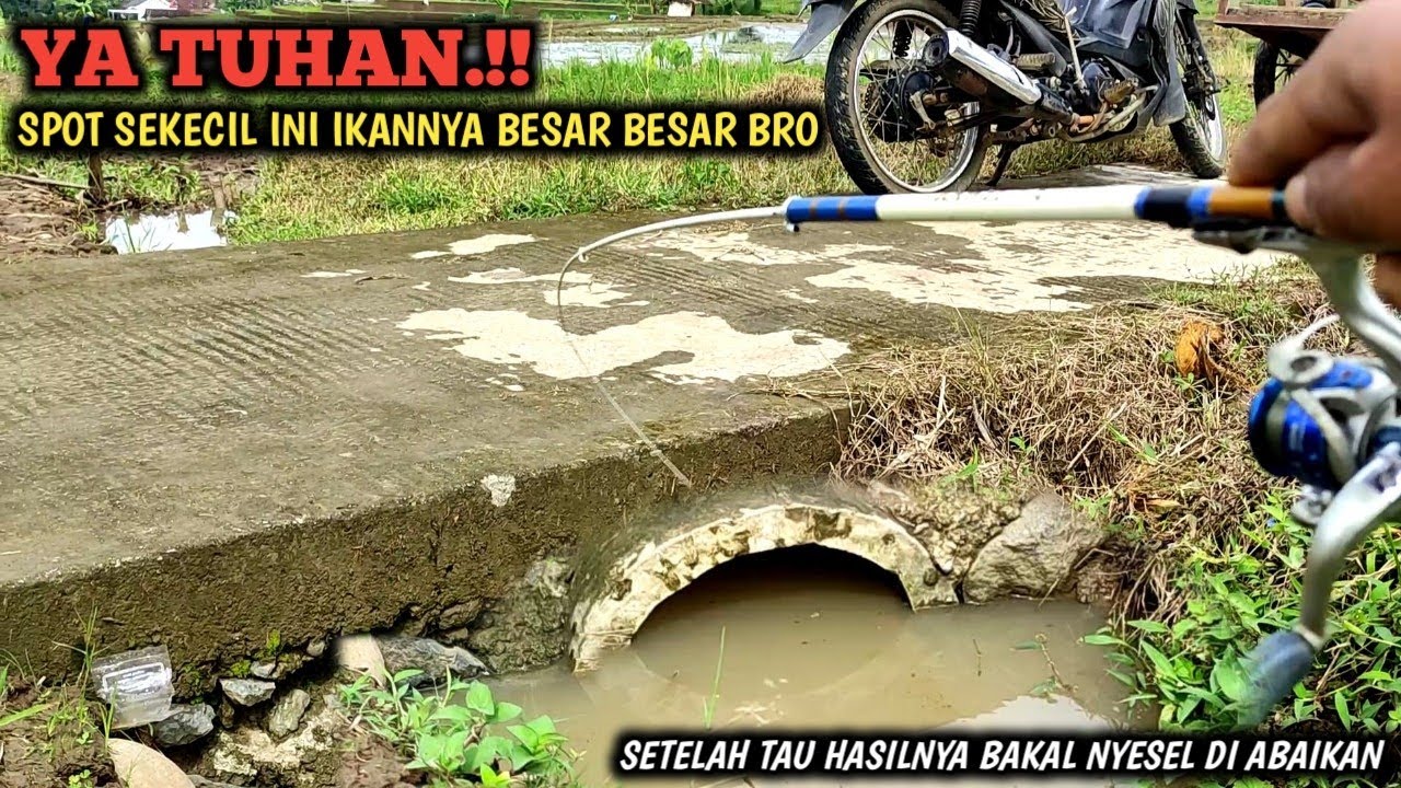 MENAKJUBKAN.!! MANCING DI SELOKAN KECIL PINGGIR JALAN || IKANNYA BESAR BESAR SAMPAI PADA KELIHATAN