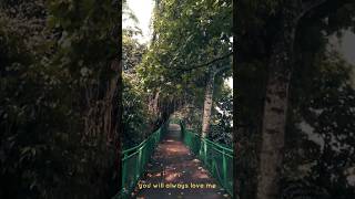 Cintanya aku (english version) #liriklagu #tiaraandini #shortvideo #laguviraltiktok