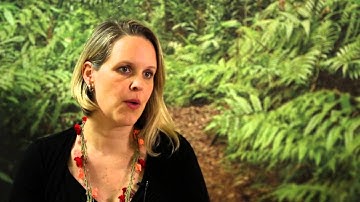 Amy Duchelle on REDD+ safeguards