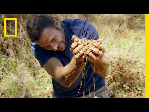 Finding Water in the Desert | Primal Survivor