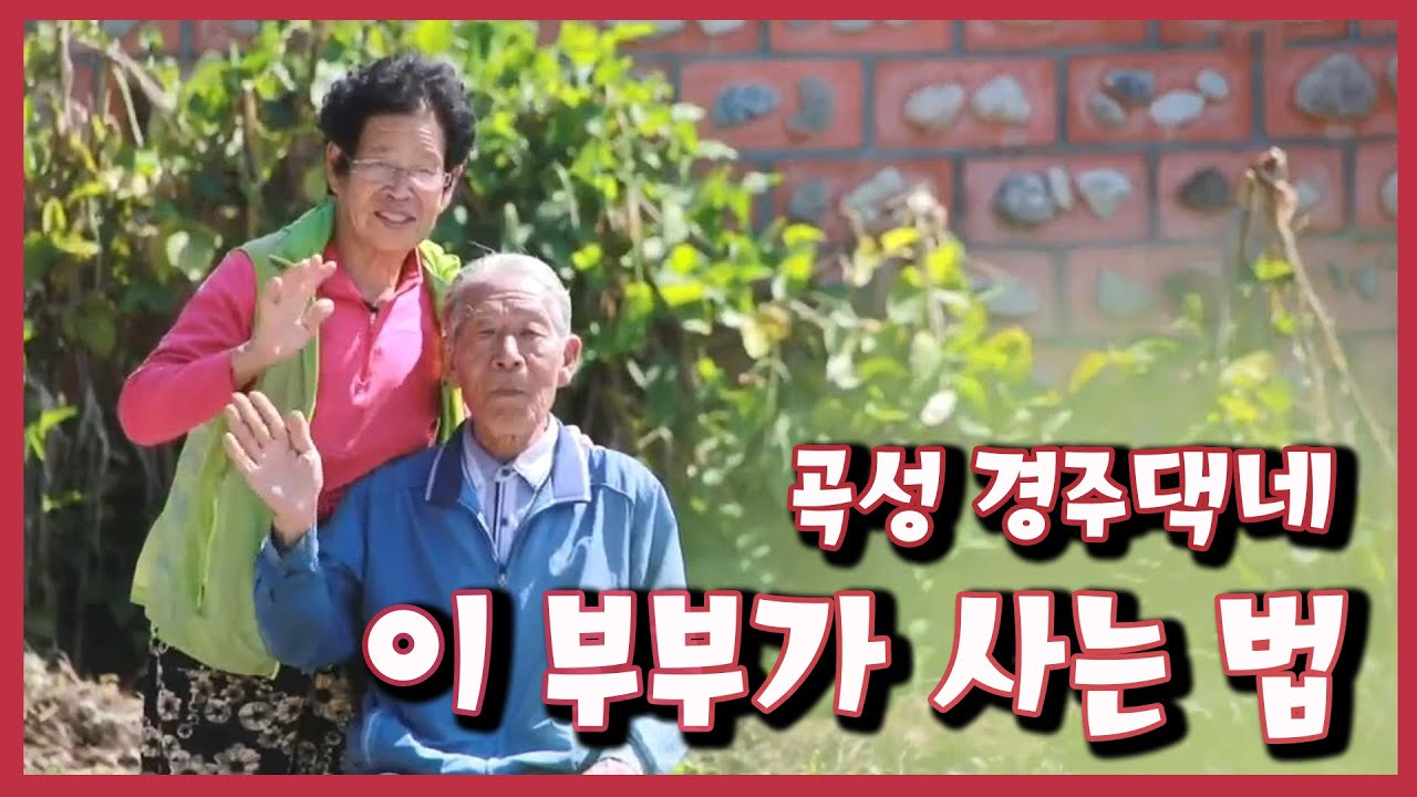 [남도지오그래피] 이 부부가 사는 법, 곡성 경주댁네 | KBS 200929 방송