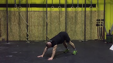 Body Mechanics - Downdog Toes Touch - ON AIR