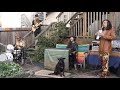 Rebirth Canal AI Vocal Jazz Fusion NPR Tiny Desk Submission 2022