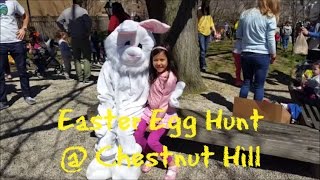 Easter Egg Hunt @ Chestnut Hill
