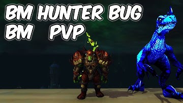 BM Hunter Bug - 8.0.1 Beast Mastery Hunter PvP - WoW BFA
