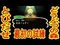 【3DS】とびだせどうぶつの森実況