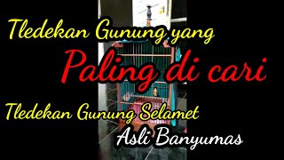 Tledekan Gunung Asli Banyumas Tledekan Lokal Lereng Gunung Slamet