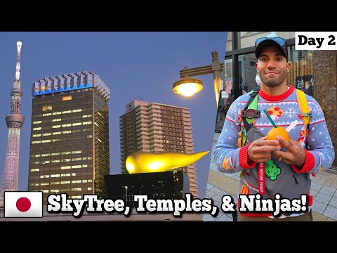 Viewing Tokyo From 450m In The Air! - Japan Vlog Day 2