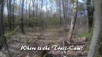 Who or What Took Them? Web Cam Mystery Vlog May 15th 2017