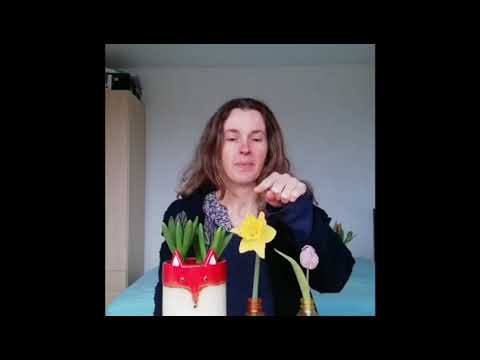 Video: Tulp, jasmijn narcis?