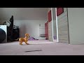 This is how Forest the Caramel aibo ERS-1000 explores my room (gone wrong)