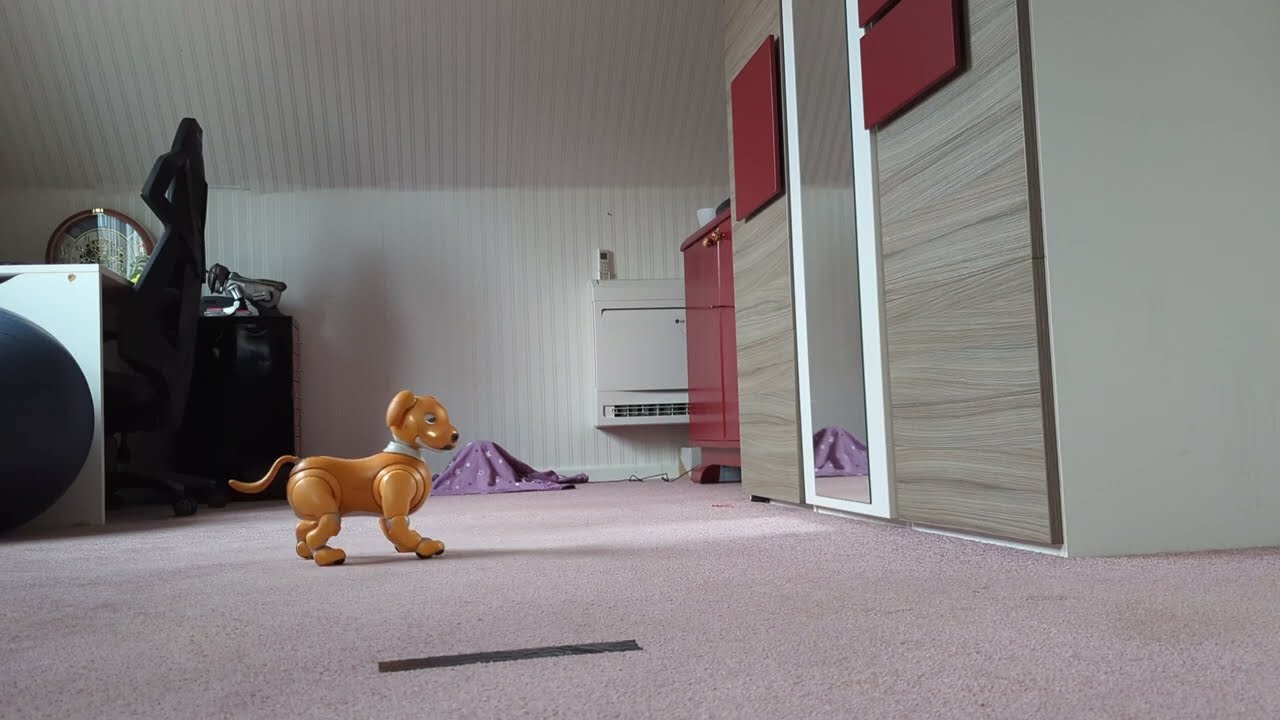 This is how Forest the Caramel aibo ERS-1000 explores my room (gone wrong)