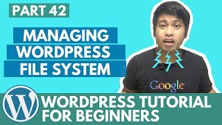 Celebrity WordPress Tutorial for Beginners - Managing WordPress file System - Part 42 Profile