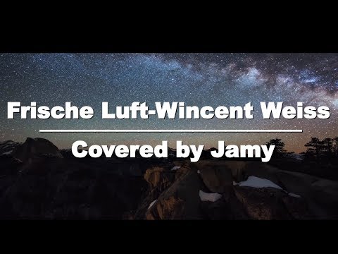 Frische Luft - Wincent Weiss | covered by Jamy