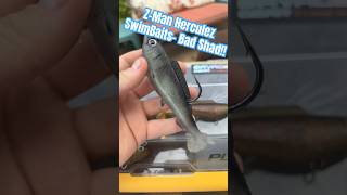 Z-Man Soft Plastic SwimBaits are absolutely 🔥 #bassfishing