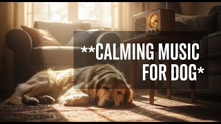 12 hours of Anti - Anxiety Dog Music for Restful Sleep 💤 : Healing Sounds to Calm Your Anxious Dog 🐾