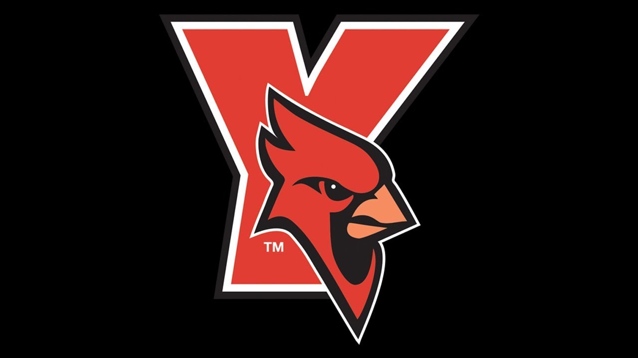201819 York College (NY) Athletics Highlights YouTube