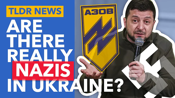 Are Putin's Claims About Ukrainian Nazis Real? - TLDR News - DayDayNews