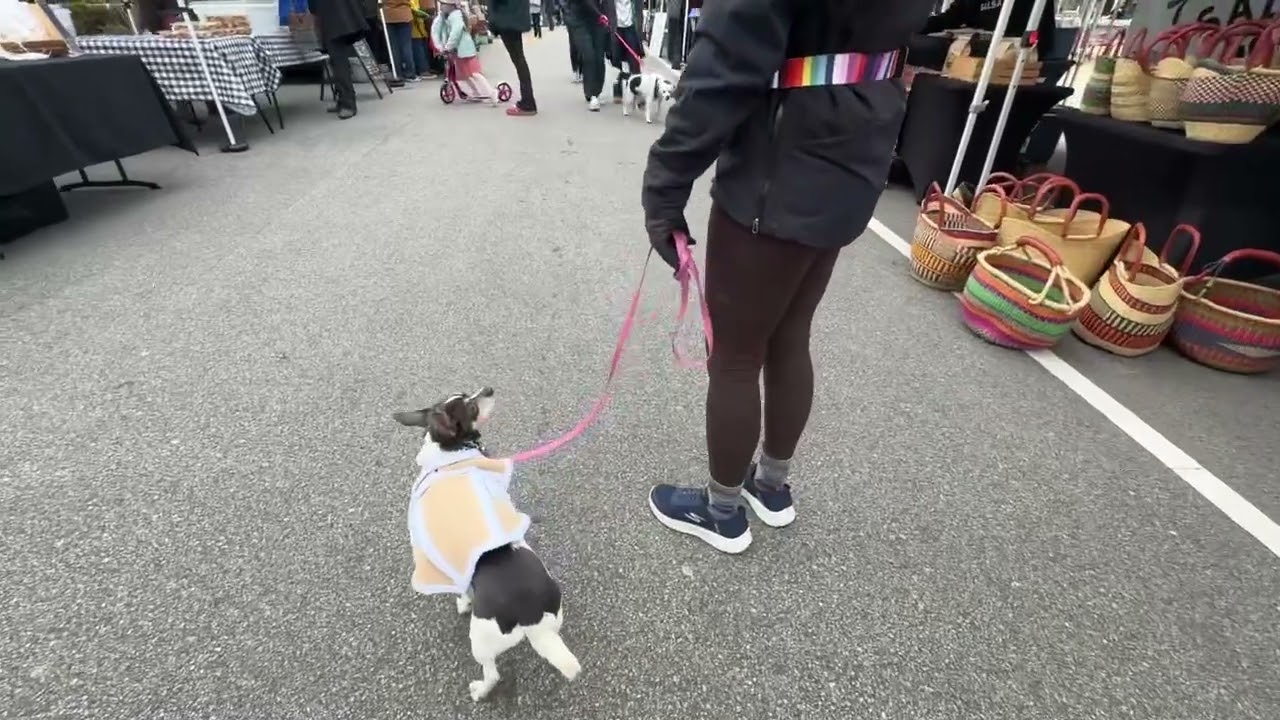 Mooshu downtown Cary farmers market 