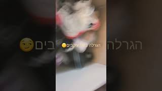 יש שם לפחות 500 זוגות נעליים ששווים אלפים הגרלה במאה עוקבים