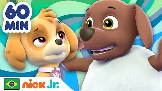 Patrulha Canina | Os resgates mais corajosos de Skye e Zuma por 1 hora! | Nick Jr. em Português