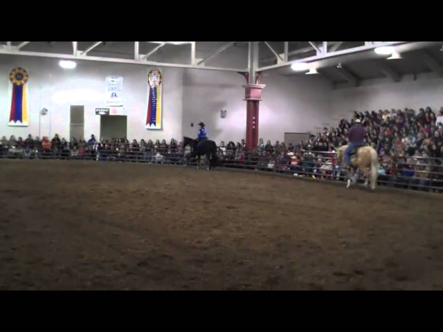 2011 Illinois Horse fair Appaloosa Breed  Demo