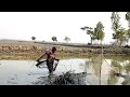 Village Fishing With A Cast Net | জালে এতগুলো পায়রা মাছ