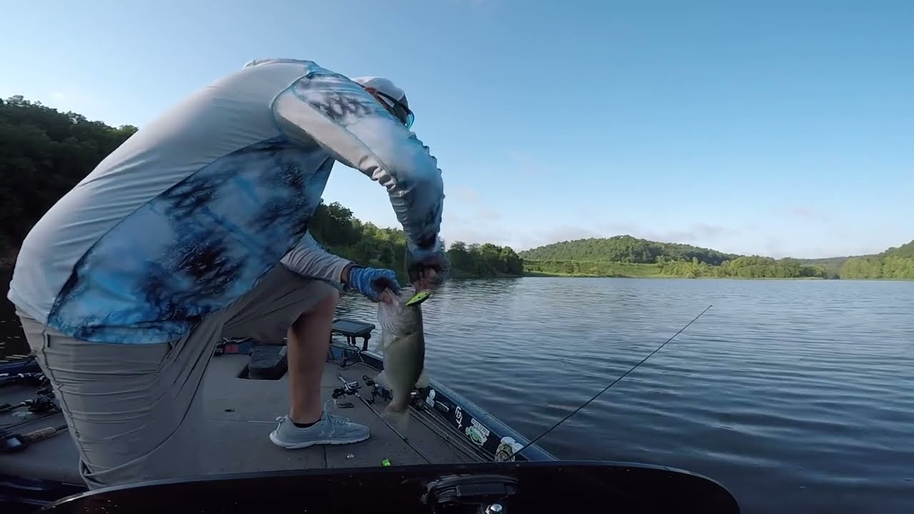 Schooling bass + Big Kicker
