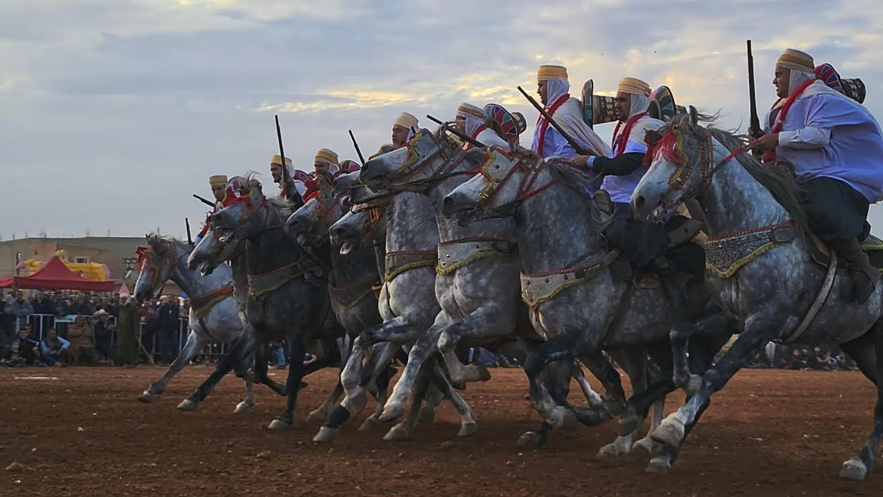 الخيل و الفرسان و بارود في وعدة تيزي(معسكر)