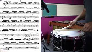 Portraits In Rhythm CIRONE SNARE DRUM NO.44