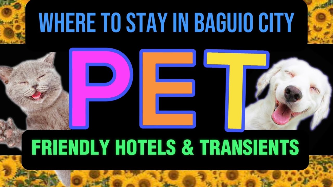 Where to stay in Baguio City | Pet Friendly Hotels and Transients