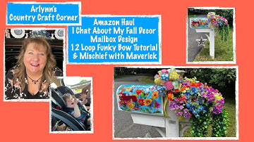 Amazon Haul, I Chat About My Fall Decor, Mailbox Design, 12 Loop Funky Bow Tutorial & Mischief w Mav